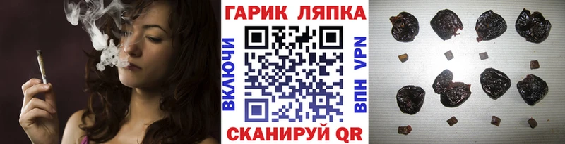 ГАШ гарик Гусев