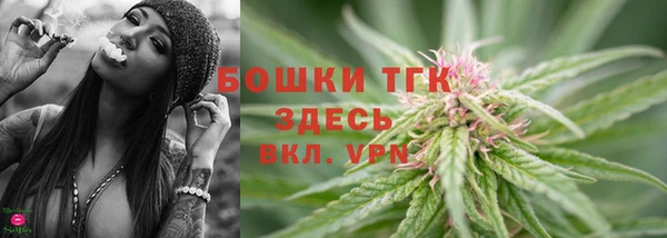 ешки Арсеньев