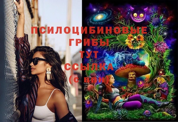 гашик Армянск