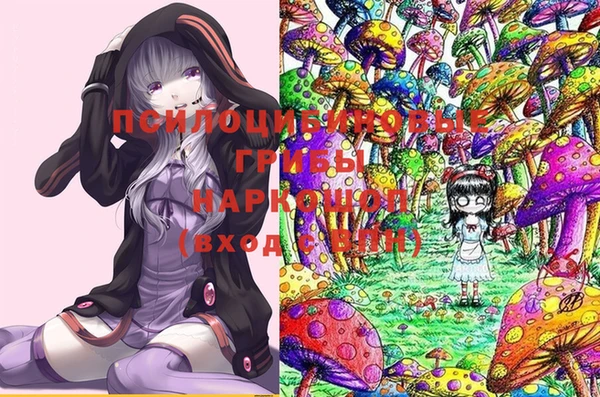 спиды Аркадак