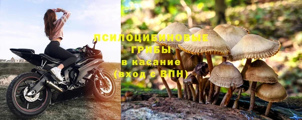 спиды Аркадак