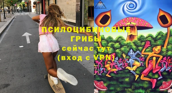 ешки Арсеньев