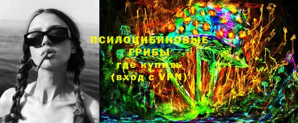 спиды Аркадак