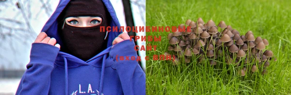 спиды Аркадак